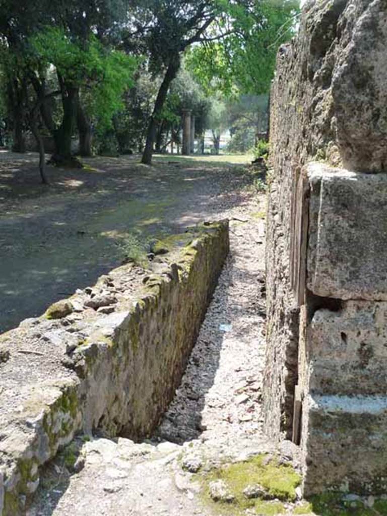 Unnamed access onto Triangular Forum. Looking south along side wall of VIII.2.39. May 2010. 
