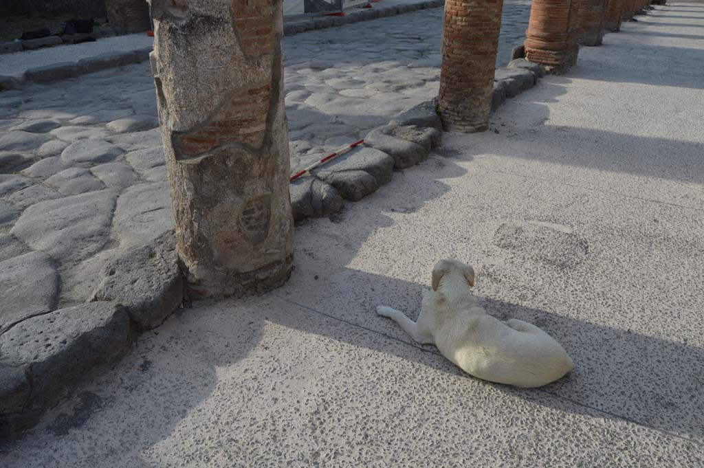 Via del Foro, east side, Pompeii. March 2019. 
Second column at south end of portico, on left, outside VII.4.10, looking north-west. 
Foto Taylor Lauritsen, ERC Grant 681269 DCOR.
