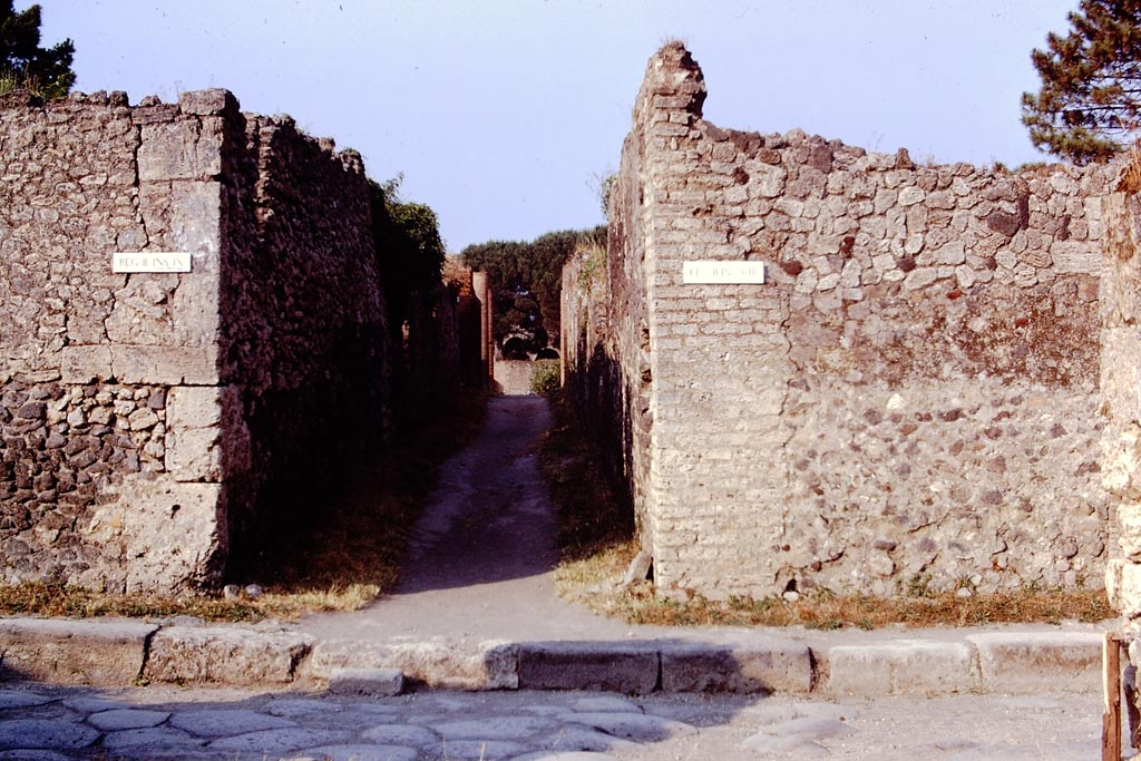 Via della Palestra between II.9 and II.8, Pompeii. 1973. 
Looking east from the junction with Via di Nocera. Photo by Stanley A. Jashemski. 
Source: The Wilhelmina and Stanley A. Jashemski archive in the University of Maryland Library, Special Collections (See collection page) and made available under the Creative Commons Attribution-Non-Commercial License v.4. See Licence and use details.
J73f0204
