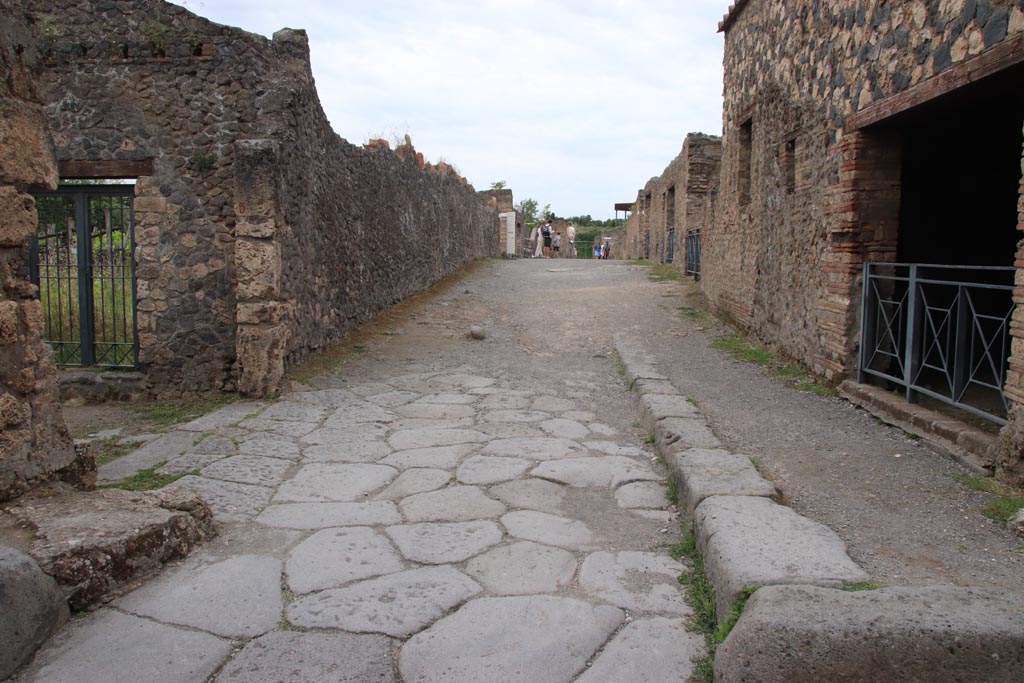 Via della Palestra between I.20 and I.14. May 2024. Looking west from between I.20.5 and I.14.15. Photo courtesy of Klaus Heese.