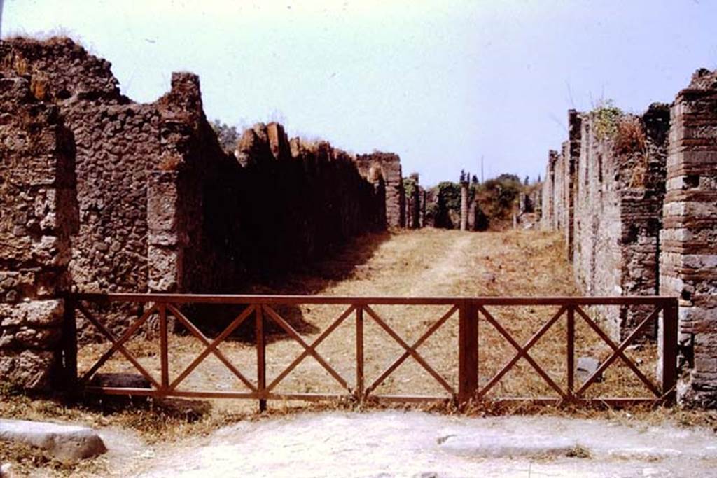 Via della Palestra, Pompeii. 1972. Looking west from Via di Nocera. Photo by Stanley A. Jashemski. 
Source: The Wilhelmina and Stanley A. Jashemski archive in the University of Maryland Library, Special Collections (See collection page) and made available under the Creative Commons Attribution-Non Commercial License v.4. See Licence and use details. J72f0070
