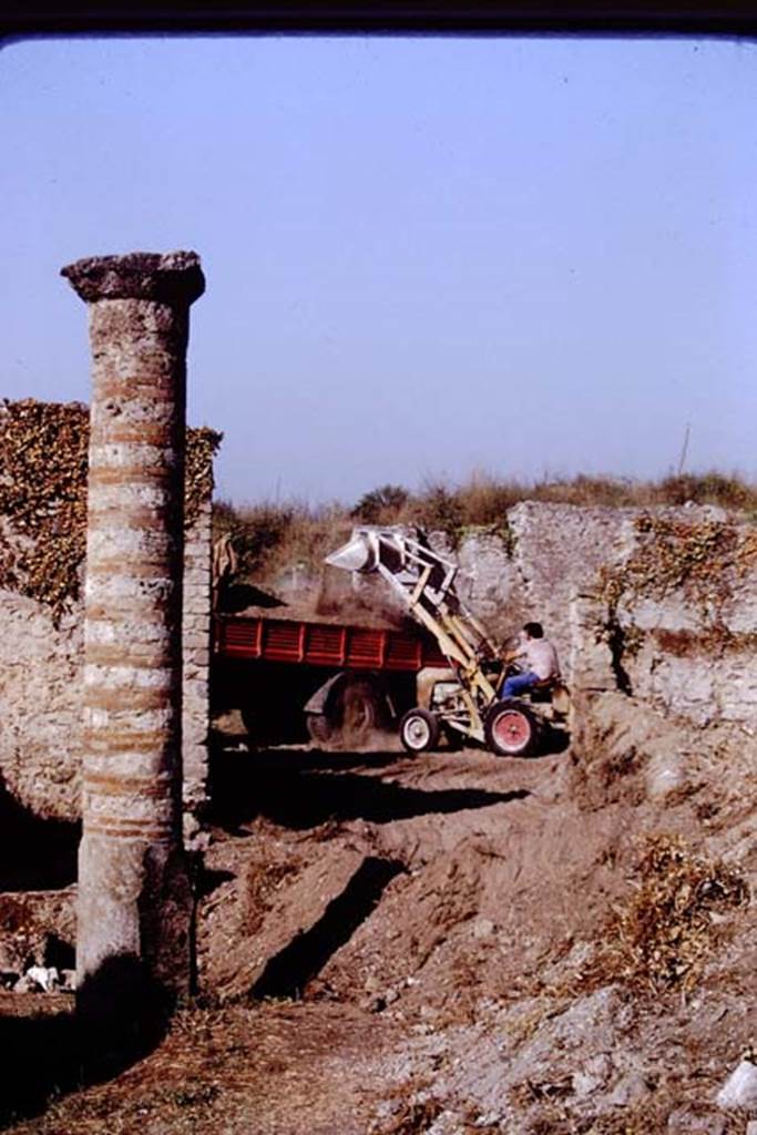 Via della Palestra, Pompeii. 1972. Looking west from outside entrance doorway of I.21.1 with column.   Photo by Stanley A. Jashemski. 
Source: The Wilhelmina and Stanley A. Jashemski archive in the University of Maryland Library, Special Collections (See collection page) and made available under the Creative Commons Attribution-Non Commercial License v.4. See Licence and use details. J72f0626
