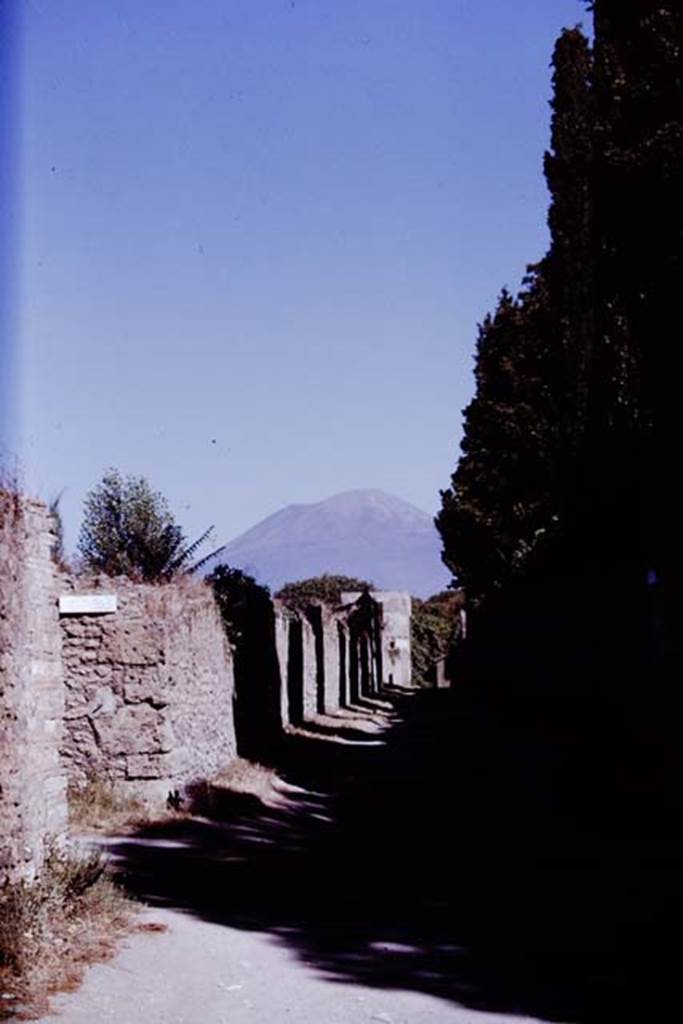 Via di Castricio, 1970. Looking north from the junction with Vicolo di Octavius Quartio. 
Photo by Stanley A. Jashemski.
Source: The Wilhelmina and Stanley A. Jashemski archive in the University of Maryland Library, Special Collections (See collection page) and made available under the Creative Commons Attribution-Non Commercial License v.4. See Licence and use details.
J70f0579
