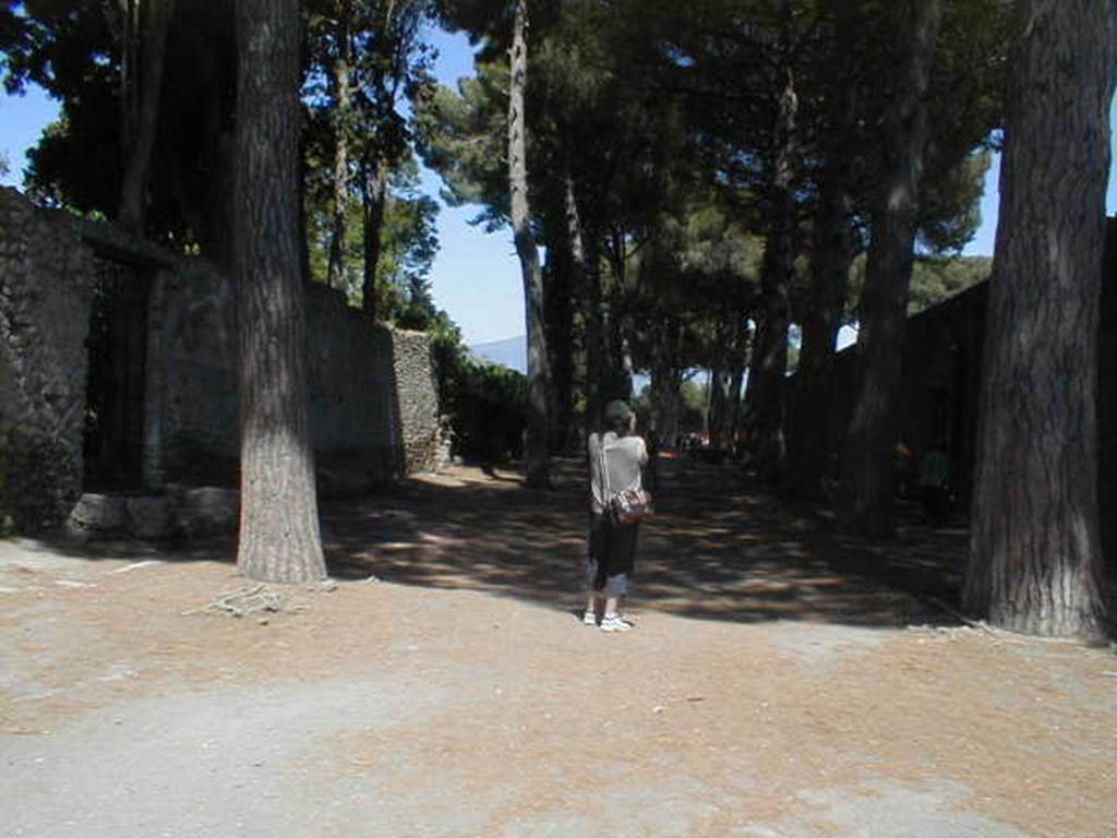 Via di Castricio between II.2 and II.7. May 2005. Looking east from the junction of Vicolo di Octavius Quartio to the north and an unnamed vicolo on west side of Palestra to the south. 
