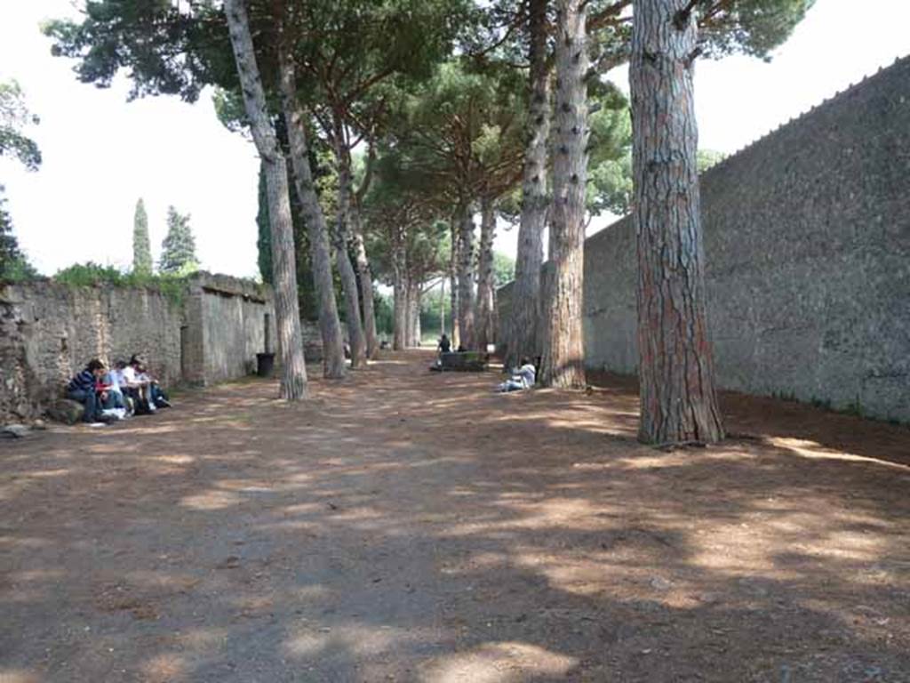 Via di Castricio, May 2010. Looking east between II.3 and II.7.