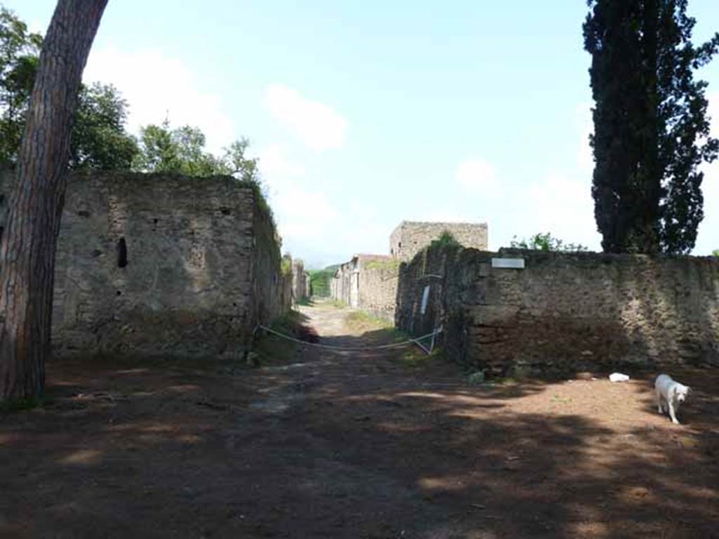 Via di Castricio, north side, May 2010. Looking north along Vicolo di Giulia Felice, between II.3 and II.4.