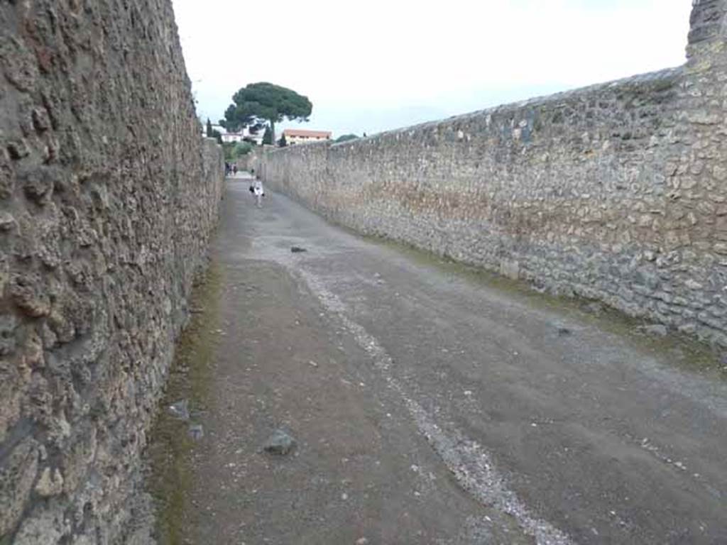 Vicolo dei Fuggiaschi. May 2010. Looking south between I.14 and I.15.