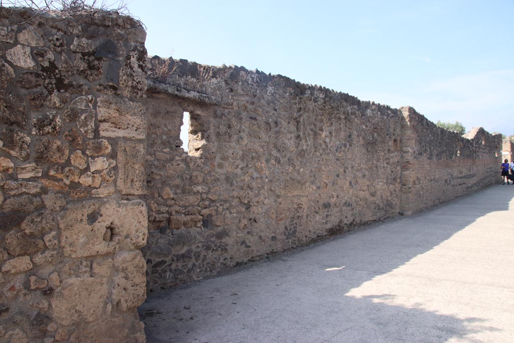 Vicolo dei Fuggiaschi. Pompeii. October 2023. Looking north along west side, side wall of I.21.5. Photo courtesy of Klaus Heese.