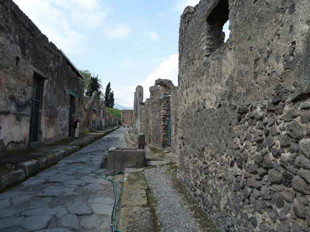 Vicolo dei Vettii, west side. May 2010. Looking north from near VI.15.7.