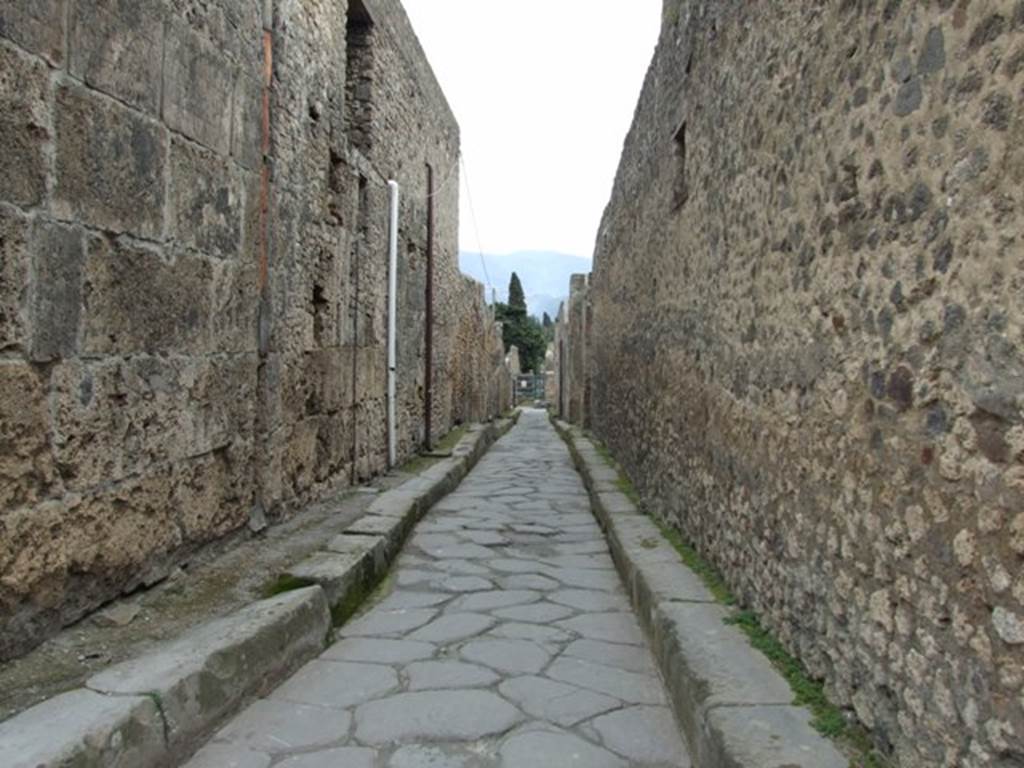 Vicolo del Citarista between I.6 and I.4. Looking south. March 2009.