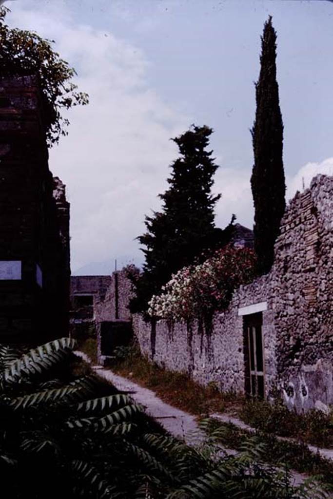 Vicolo del Citarista, Pompeii. 1964. Looking north from end of insula 1.3. Photo by Stanley A. Jashemski.
Source: The Wilhelmina and Stanley A. Jashemski archive in the University of Maryland Library, Special Collections (See collection page) and made available under the Creative Commons Attribution-Non Commercial License v.4. See Licence and use details.
J64f1294
