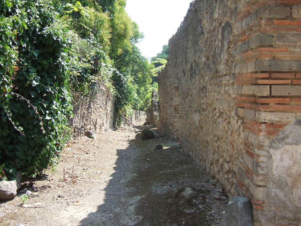 Vicolo del Citarista between I.19 and I.2. Looking south from junction. September 2005.