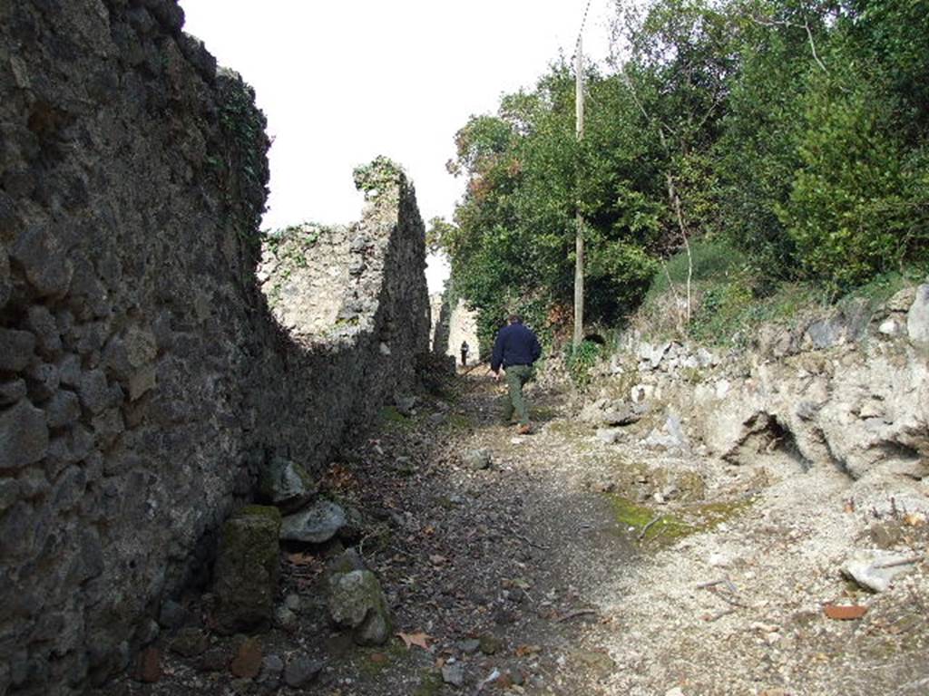 Vicolo del Citarista between I.2 and I.19. Looking north. December 2006.