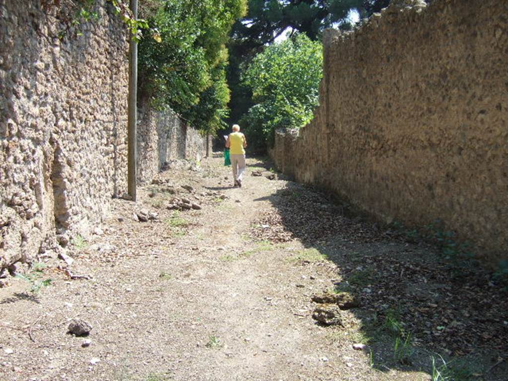 Vicolo del Citarista between I.25 and I.5. Looking south. September 2005.