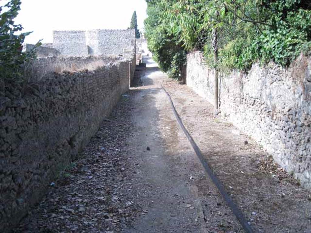 Vicolo del Citarista between I.5 and I.25. September 2010. Looking north from south end. Photo courtesy of Drew Baker.

