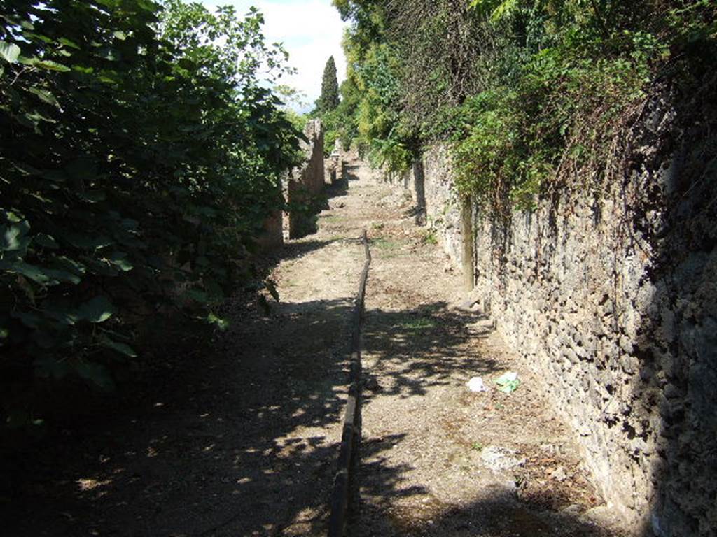 Vicolo del Citarista between I.5 and I.25. Looking north from south end. September 2005.