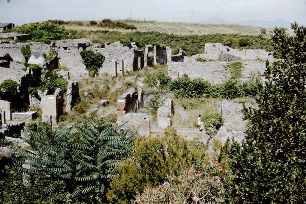 Vicolo del Conciapelle between I.2 and I.1, centre left in photo. 1959.  Looking east from above the Via Stabiana. Photo by Stanley A. Jashemski.
Source: The Wilhelmina and Stanley A. Jashemski archive in the University of Maryland Library, Special Collections (See collection page) and made available under the Creative Commons Attribution-Non Commercial License v.4. See Licence and use details.
J59f0275
