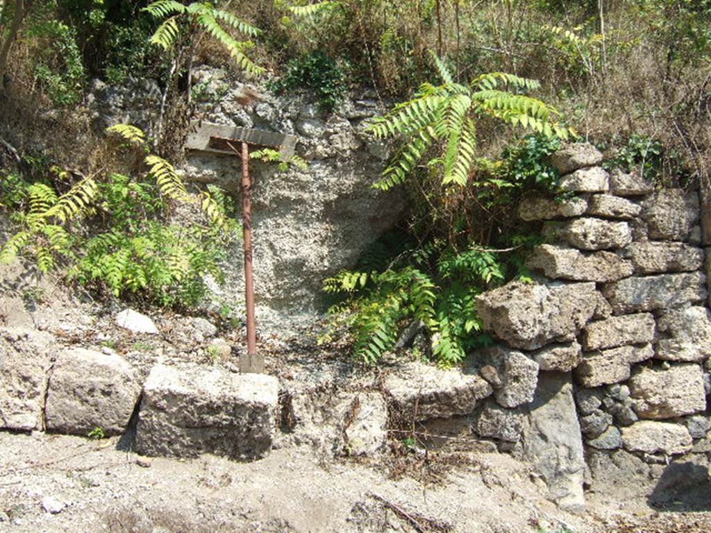 Unexcavated vicolo between I.19 and I.25, possible continuation of Vicolo del Conciapelle, when excavated? September 2005.

 
