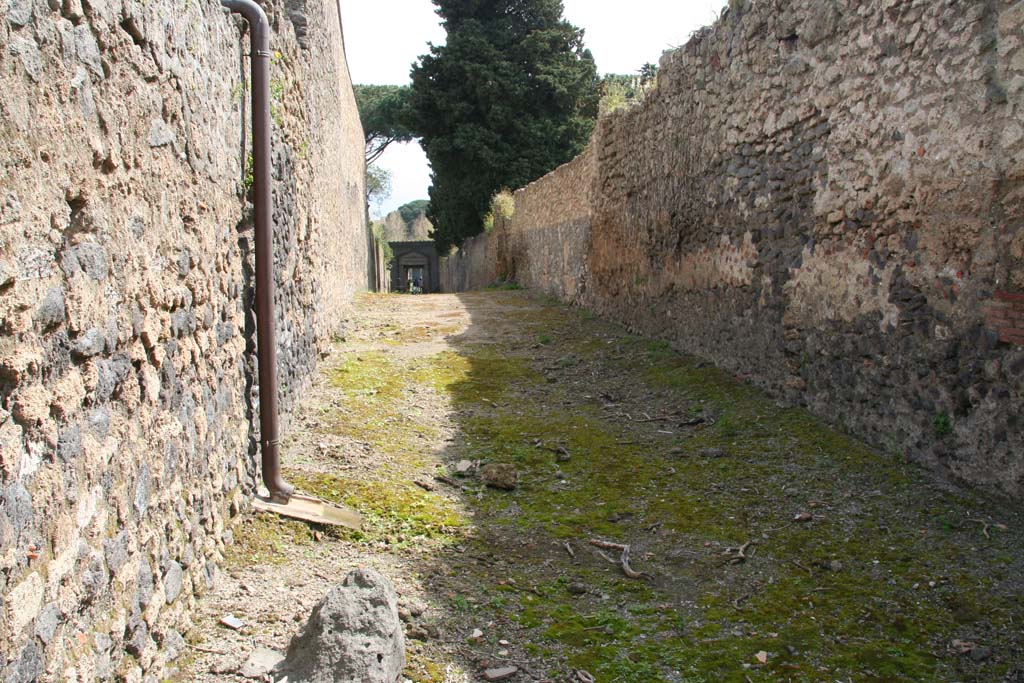 Vicolo della Venere, April 2013. Looking south between II.3 and II.2. Photo courtesy of Klaus Heese.