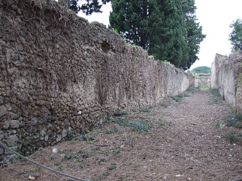 Vicolo della Venere, west side. Looking north between II.2 and II.3. December 2006.