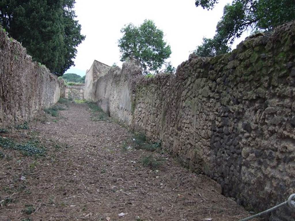 Vicolo della Venere, east side. Looking north between II.2 and II.3. December 2006.