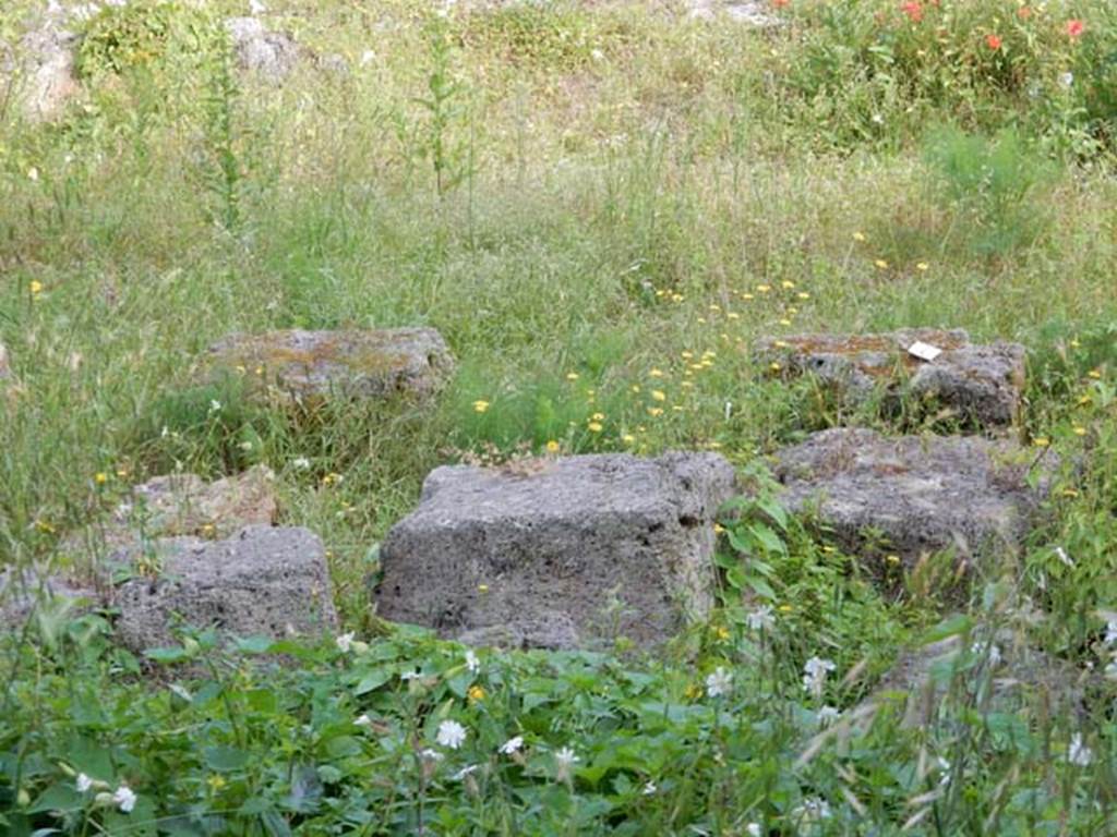 Santuario extraurbano del Fondo Iozzino. May 2018. Blocks on ground.
Photo courtesy of Buzz Ferebee.
