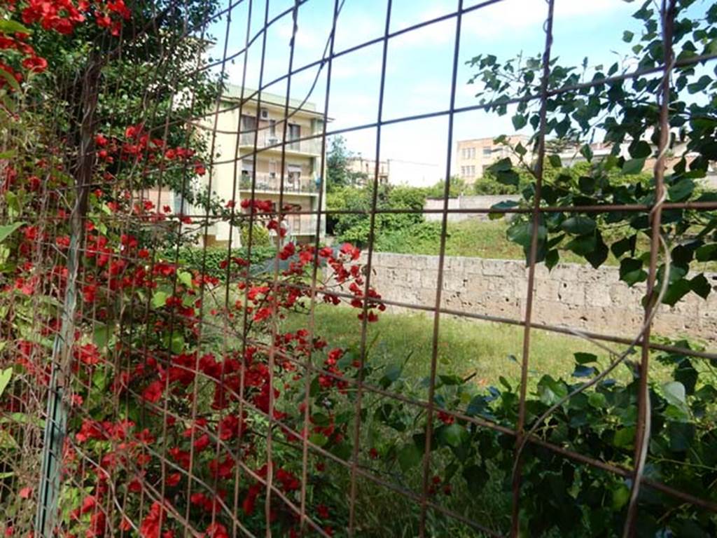 Santuario extraurbano del Fondo Iozzino. May 2018. South wall.
Photo courtesy of Buzz Ferebee.
