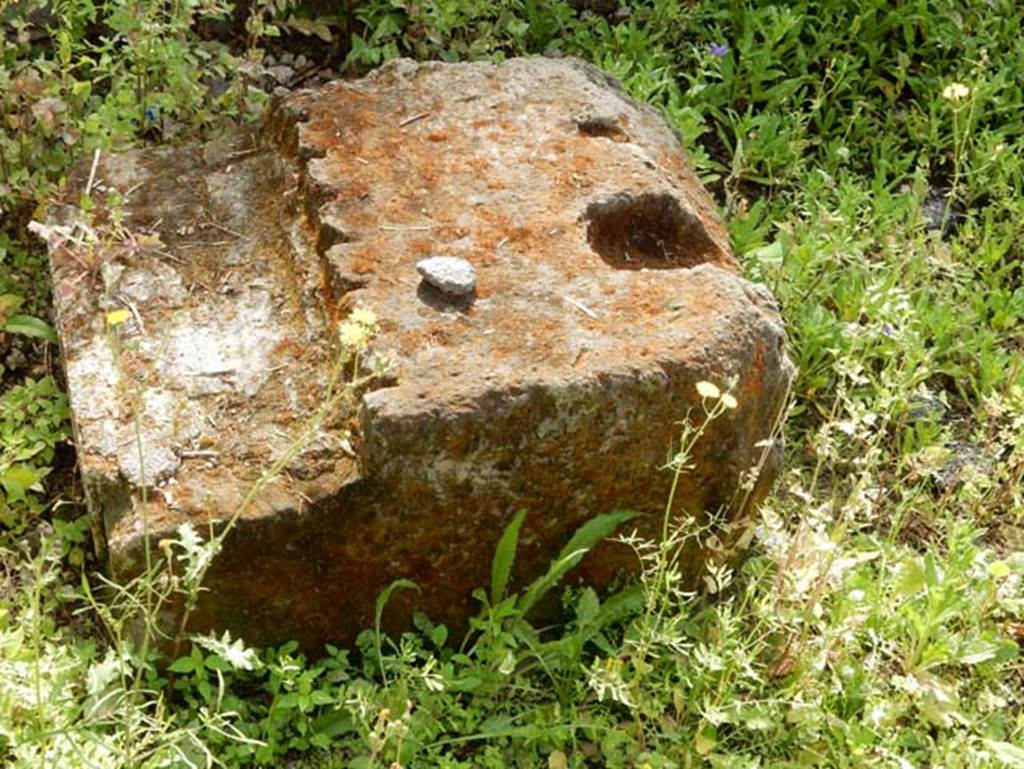 Tempio dionisiaco in località Sant’Abbondio di Pompei. May 2018. Carved masonry on ground.
Photo courtesy of Buzz Ferebee.
