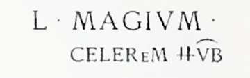 FP6 Pompeii. Inscription found on the front, to the left of the door. 

According to Epigraphik-Datenbank Clauss/Slaby (See www.manfredclauss.de) this read as

L(ucium) Magium
Celerem IIv(irum) b(onum)       [CIL IV 3873]

See Varone, A. and Stefani, G., 2009. Titulorum Pictorum Pompeianorum, Rome: L’erma di Bretschneider. (p. 481)
See Notizie degli Scavi di Antichità, 1887, p.38.
