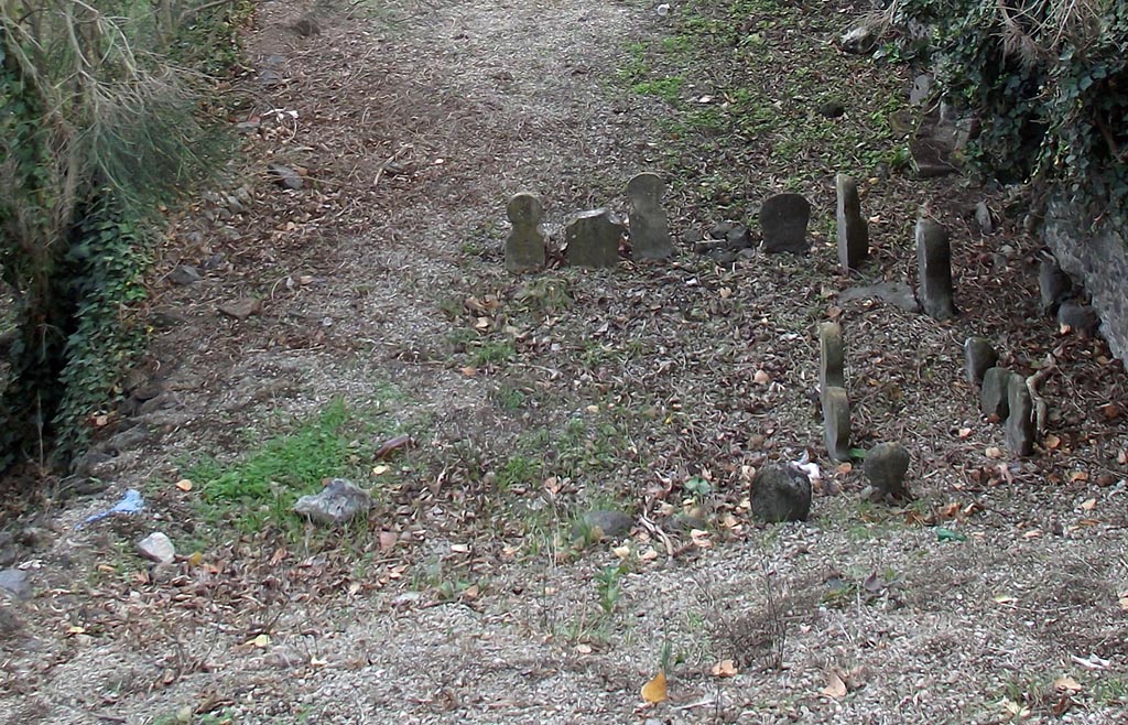 FPSA Pompeii. August 2011. Looking east along rear of tomb. Photo courtesy of Peter Gurney.
The tomb area had four columellae (in foreground, now buried) in a line north (left in this photograph) to south.
According to D’Ambrosio and De Caro, at the north end was an inscribed marble columella.

L NONIVS
CELER VIXIT
ANNVM ET ME
SES QVATOR

They expanded this to

L(ucius) Nonius
Celer Vixit
Annvm Et Me(n)
ses Quat(tu)or

South of this was a second taller inscribed columella
 
A STATIVS
MOSCHUS

They expanded this to

A(ulus) Statius
Moschus

The third columella was not inscribed.

The southmost columella was facing north

HYGIA
VIX AN XVI

They expanded this to

Hygia
Vix(it) an(nis) XVI

See D’Ambrosio A. and De Caro S., 1988. Römische Gräberstraßen. München: C. H. Beck. p. 216, taf. 35e-g.

