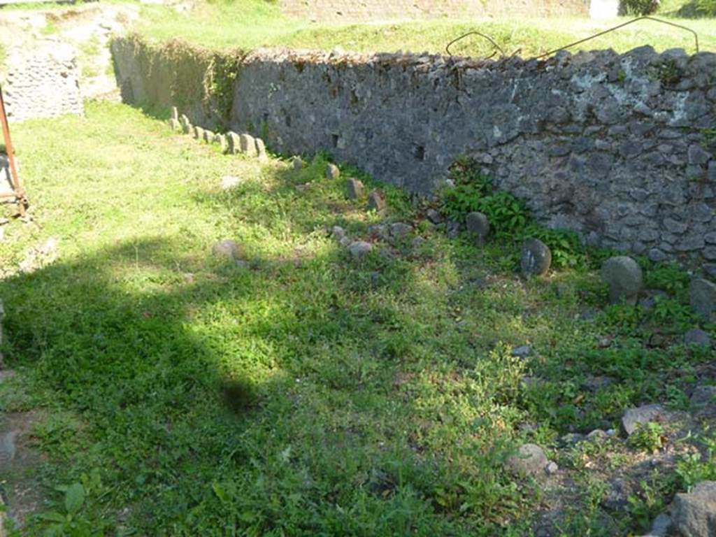 FPSF Pompeii. May 2011. Looking east along wall at south side of tomb. Photo courtesy of Michael Binns. According to D’Ambrosio and De Caro, the tomb area had seven columellae.
A male columella was on the west side facing east. Five male columellae were against the south side facing north. All six were uninscribed. The seventh columella was on the east side facing west and was inscribed A.S.I.A. The area beyond with a continuous row of columellae is FPSG. See D’Ambrosio A. and De Caro S., 1988. Römische Gräberstraßen. München: C.H.Beck. p. 223.