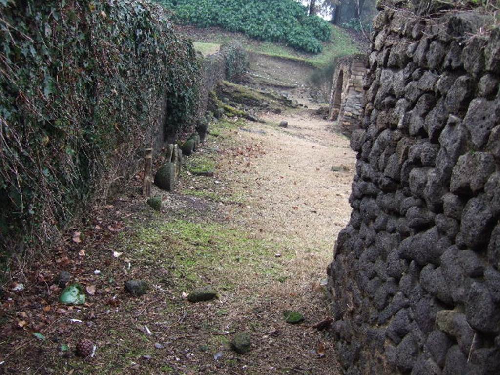 FPSG Pompeii. December 2005. Looking west from south side of niche tomb Ga.