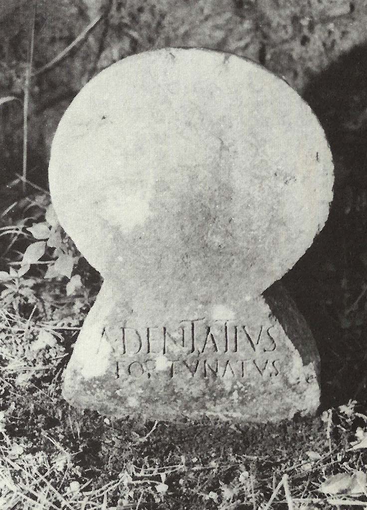 Pompeii Porta Nocera. Tomb 15ES. Compact white limestone columella of Aulus Dentatius Fortunatus.
This has the inscription A(ulus) DENTATIVS FORTVNATVS.
See DAmbrosio, A. and De Caro, S., 1983. Un Impegno per Pompei: Fotopiano e documentazione della Necropoli di Porta Nocera. Milano: Touring Club Italiano. (15ES).
