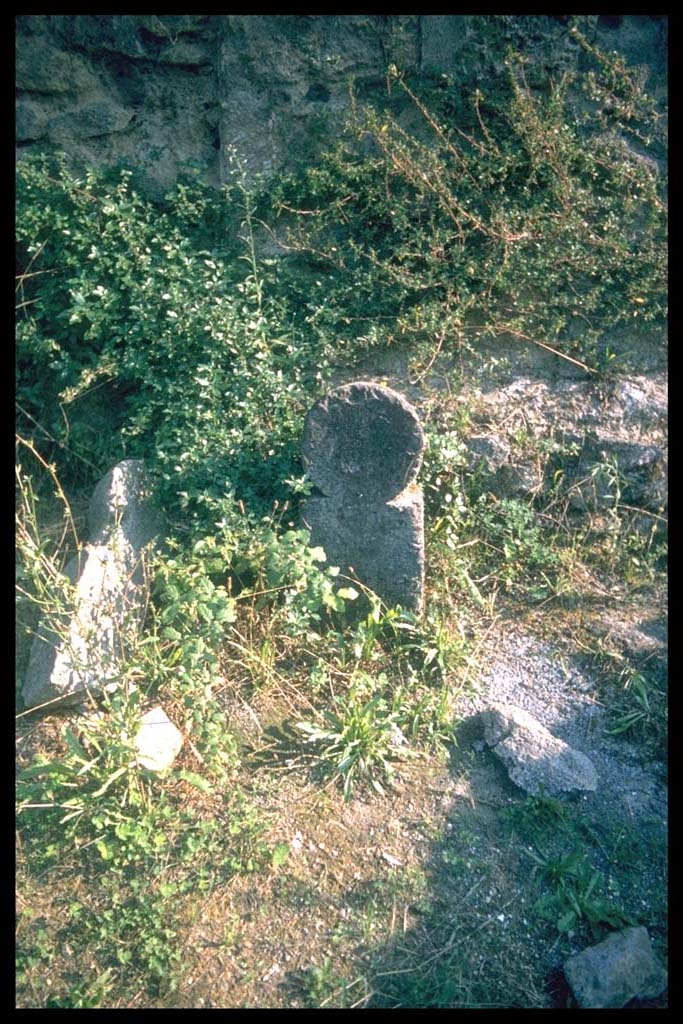 Pompeii Porta Nocera. Tomb 9OS. Tomb of a magistrate? Two columellae at front of tomb.
Photographed 1970-79 by Günther Einhorn, picture courtesy of his son Ralf Einhorn.
According to Stefano De Caro, in the space in front of the façade five columellae were found, three of which appear in situ in the excavation photos [1954] and only one in tuff is preserved in front of the SE corner of the tomb. In front of this, under a stone slab put for protection, a cinerary urn was found. Two other urns were found in correspondence with the next columella towards the west and one finally "between the fourth and fifth columella". Today [1983], not in situ, a lava columella lies in the area.
See D’Ambrosio, A. and De Caro, S., 1983. Un Impegno per Pompei: Fotopiano e documentazione della Necropoli di Porta Nocera. Milano: Touring Club Italiano, 9OS.
