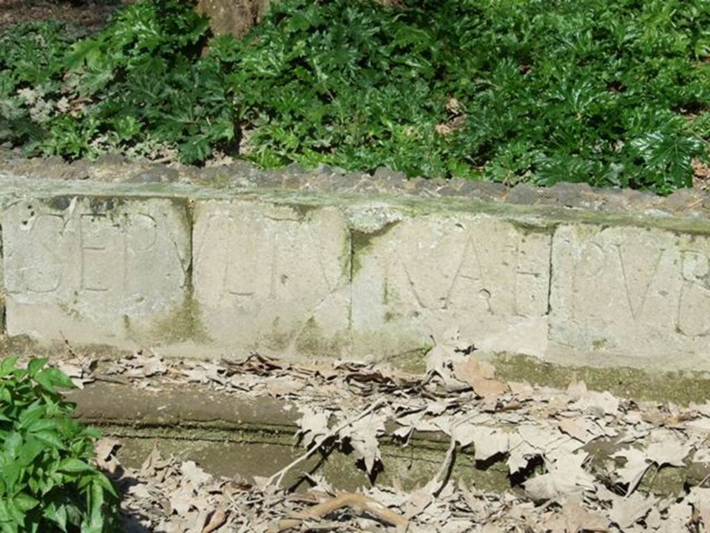 SGF Pompeii. March 2009. Schola. Inscription carved in large letters.