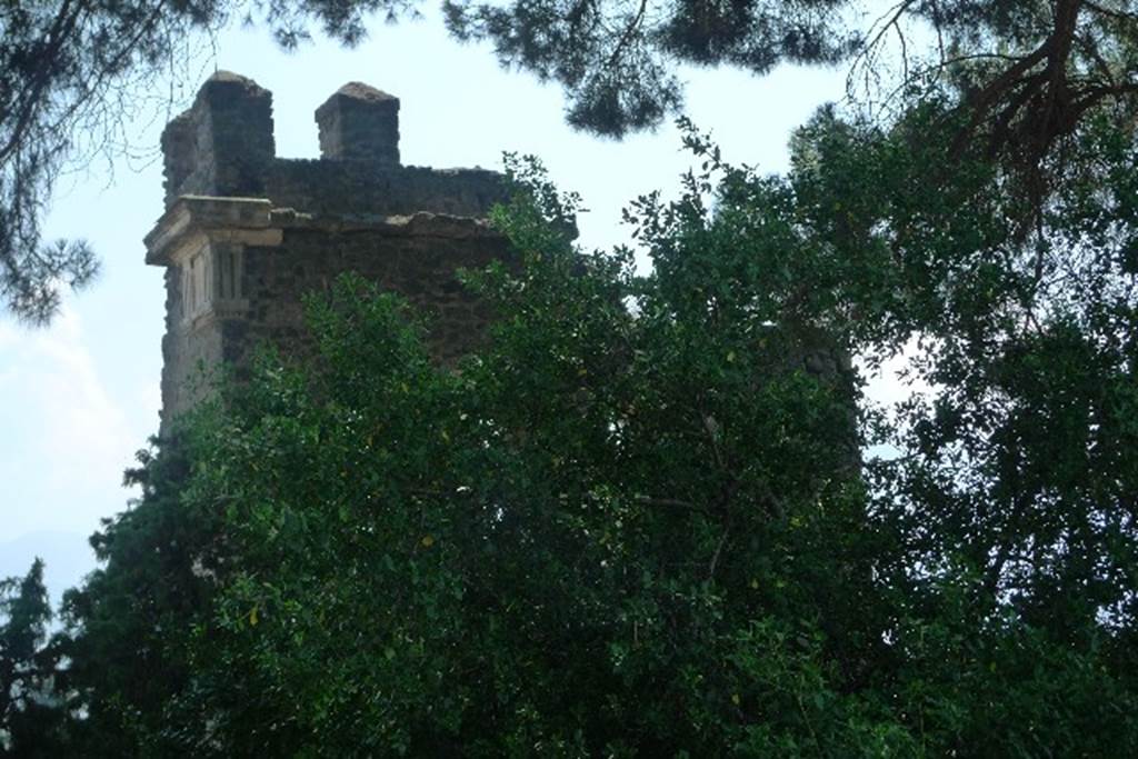 Tower X, Pompeii. July 2010. Upper north-east corner. Photo courtesy of Michael Binns.