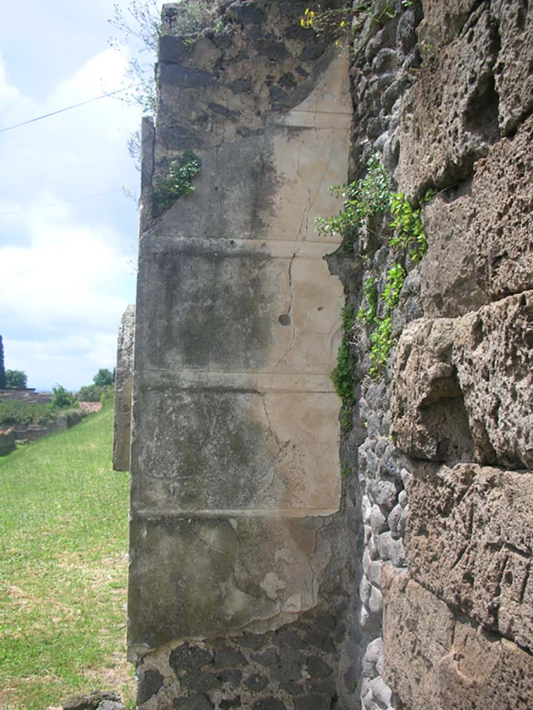 Tower X, Pompeii. May 2010. Painted plaster on east side of doorway. Photo courtesy of Ivo van der Graaff.