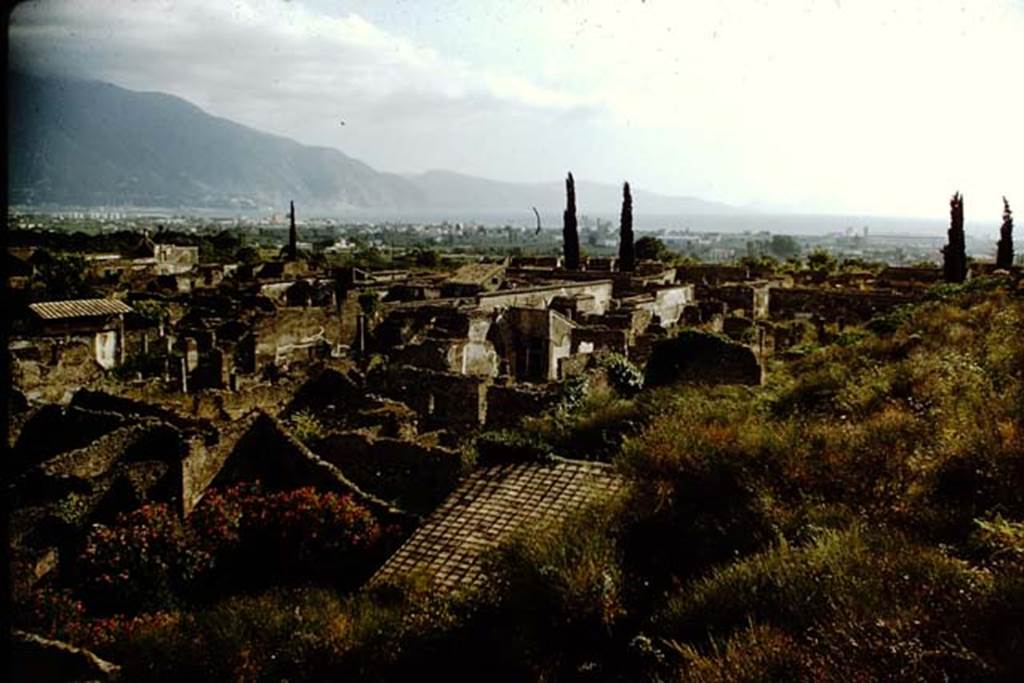 Via di Mercurio. 1959. Looking south-west across VI.7 from Tower XI, towards the Sorrentine Peninsula. Photo by Stanley A. Jashemski.
Source: The Wilhelmina and Stanley A. Jashemski archive in the University of Maryland Library, Special Collections (See collection page) and made available under the Creative Commons Attribution-Non Commercial License v.4. See Licence and use details.
J59f0584
