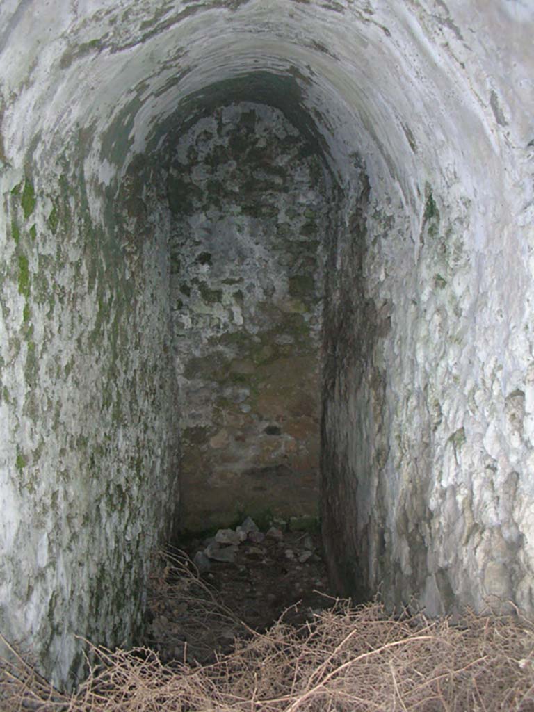 Tower XII, Pompeii. May 2010. 
Detail of vaulted passageway/corridor from entrance doorway. Photo courtesy of Ivo van der Graaff.
