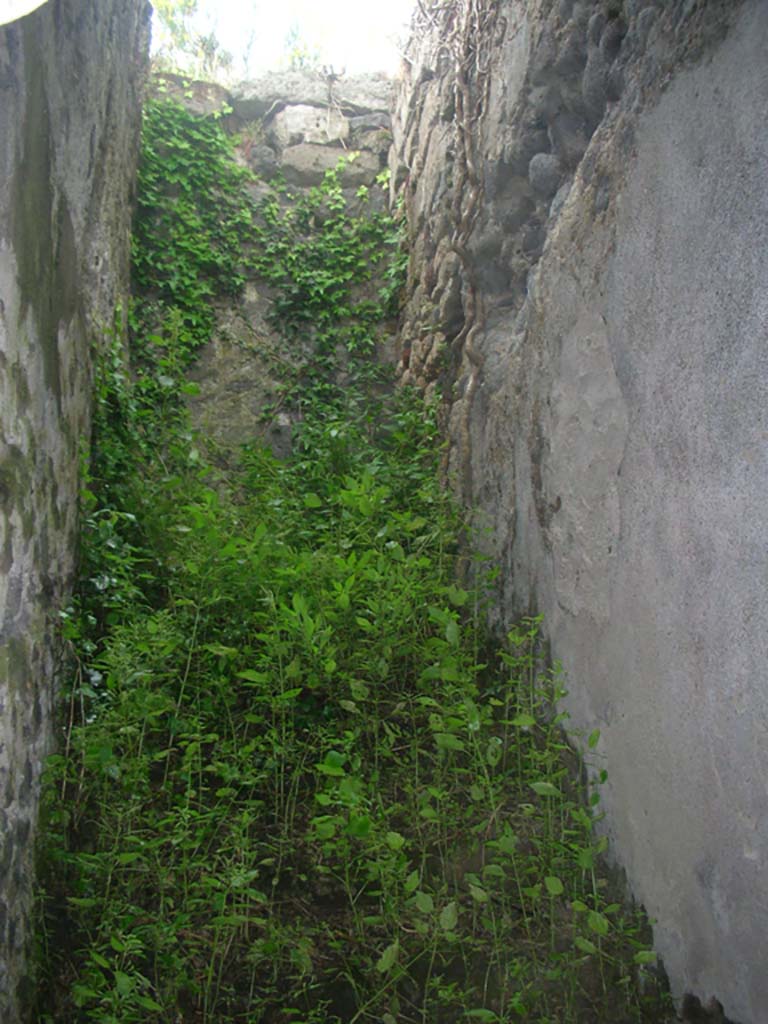  
Tower XII, Pompeii. May 2010. Looking towards top of steps in tower. Photo courtesy of Ivo van der Graaff.
