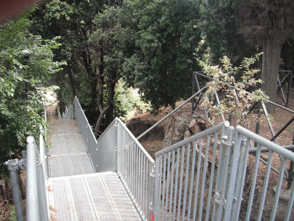 Stairway from Triangular Forum, near Tower I. May 2011. Looking south. Photo courtesy of Ivo van der Graaff.