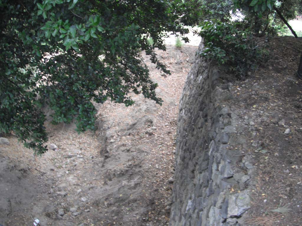 Possible site of part of Tower I, near Triangular Forum. May 2011. Photo courtesy of Ivo van der Graaff.