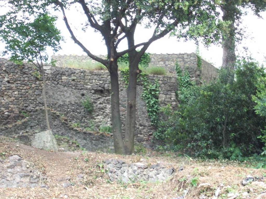 Corner of Gladiators Barracks and possible site of Tower 1