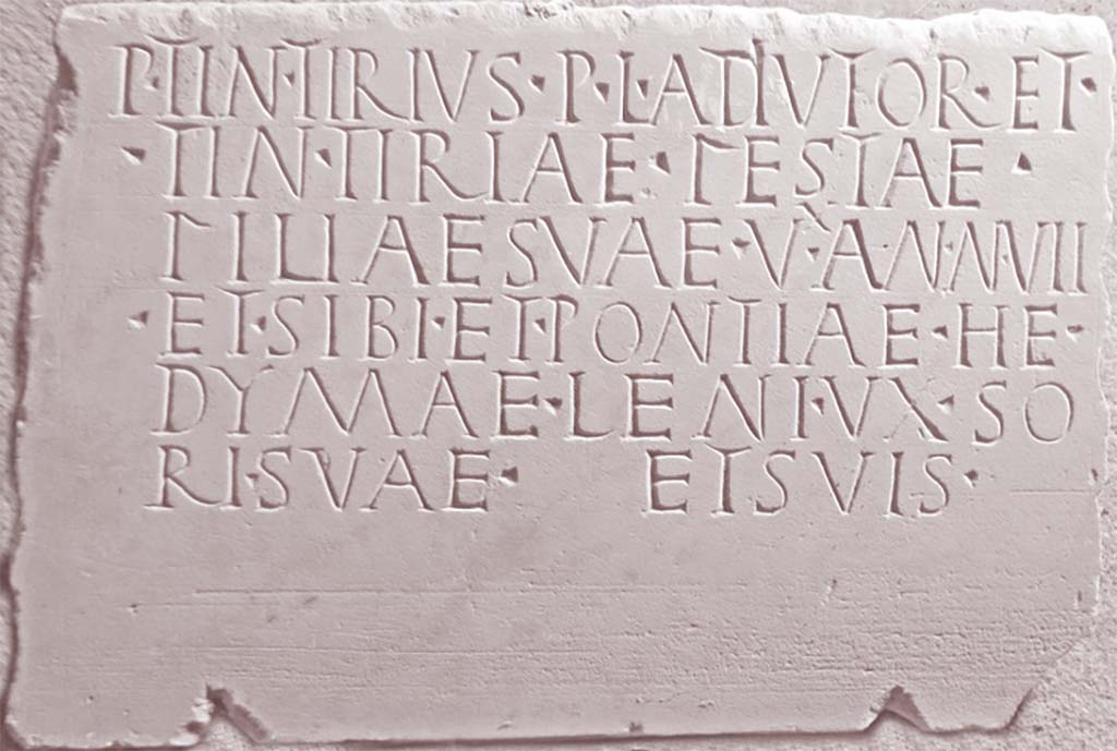 Pompeii Tower I. Marble sepulchral tablet found during the removal of the eruptive material in the chamber (June 4, 1952).
This records Publius Tintirius, his daughter Tintiriae Festae, and his wife Pontiae Hedymaeleni. 
Now in PAP deposit, inventory number 17130.
According to the Epigraphic Database Roma this reads
P(ublius) Tintirius P(ubli) l(ibertus) Ad`i´utor et
Tintiriae Festae,
filiae suae - v(i)`x´(it) an(nis) VII -,
et sibi et Pontiae He=
dymaeleni, uxso= 
ri suae, et suis.   [EDR171965]
