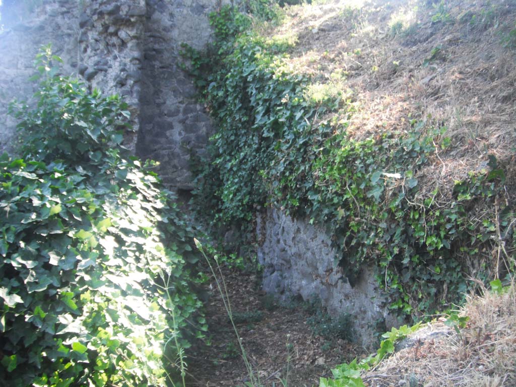 Tower III, Pompeii. May 2011. Looking towards north-west corner and remaining north wall.  Photo courtesy of Ivo van der Graaff.