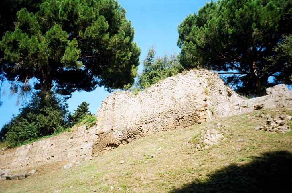 T3 Pompeii. Tower III. July 2010. Looking up from below the tower. Photo courtesy of Rick Bauer.