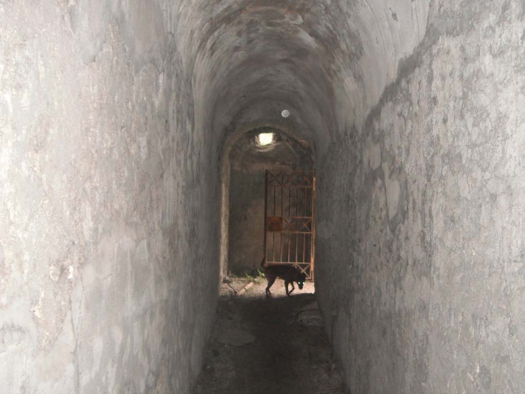 Tower VI, May 2011. Looking east towards doorway in interior. Photo courtesy of Ivo van der Graaff.