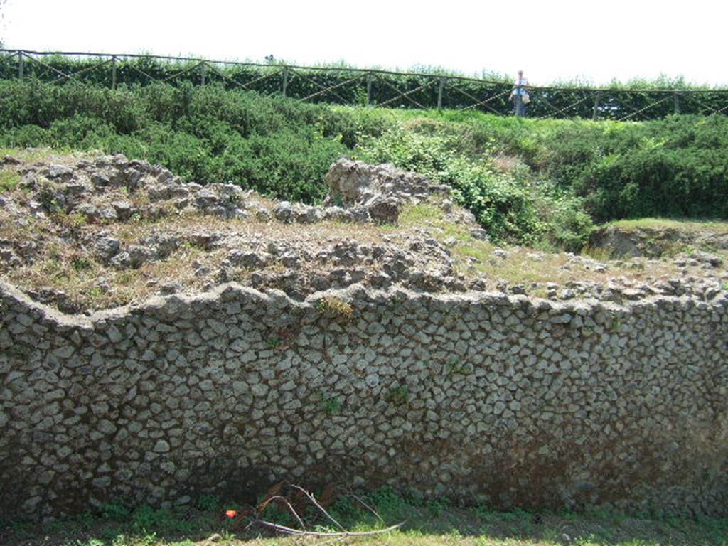 T9 Pompeii. Tower IX. May 2006. Looking south.