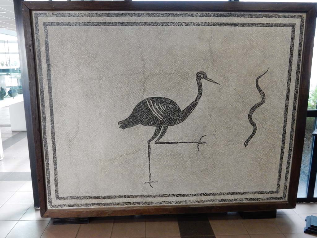 Boscoreale, Villa della Pisanella. May 2018. Calidarium O. Mosaic floor with double black band round edge and stork advancing towards a serpent. 
Now in Boscoreale Antiquarium. Photo courtesy of Buzz Ferebee.
