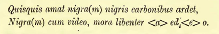 Room 18, cubiculum. West wall. Graffito was discovered with this couplet.
Quisquis amat nigra(m) nigris carbonibus ardet,
Nigra(m) cum video, mora libenter <a> ed <e> o.    [CIL IV, 6892]
See Notizie degli Scavi di Antichità, 1922, Page 475.
